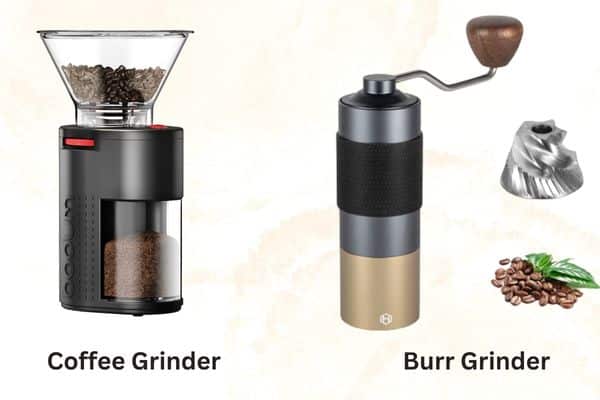 Burr grinder and coffee grinder